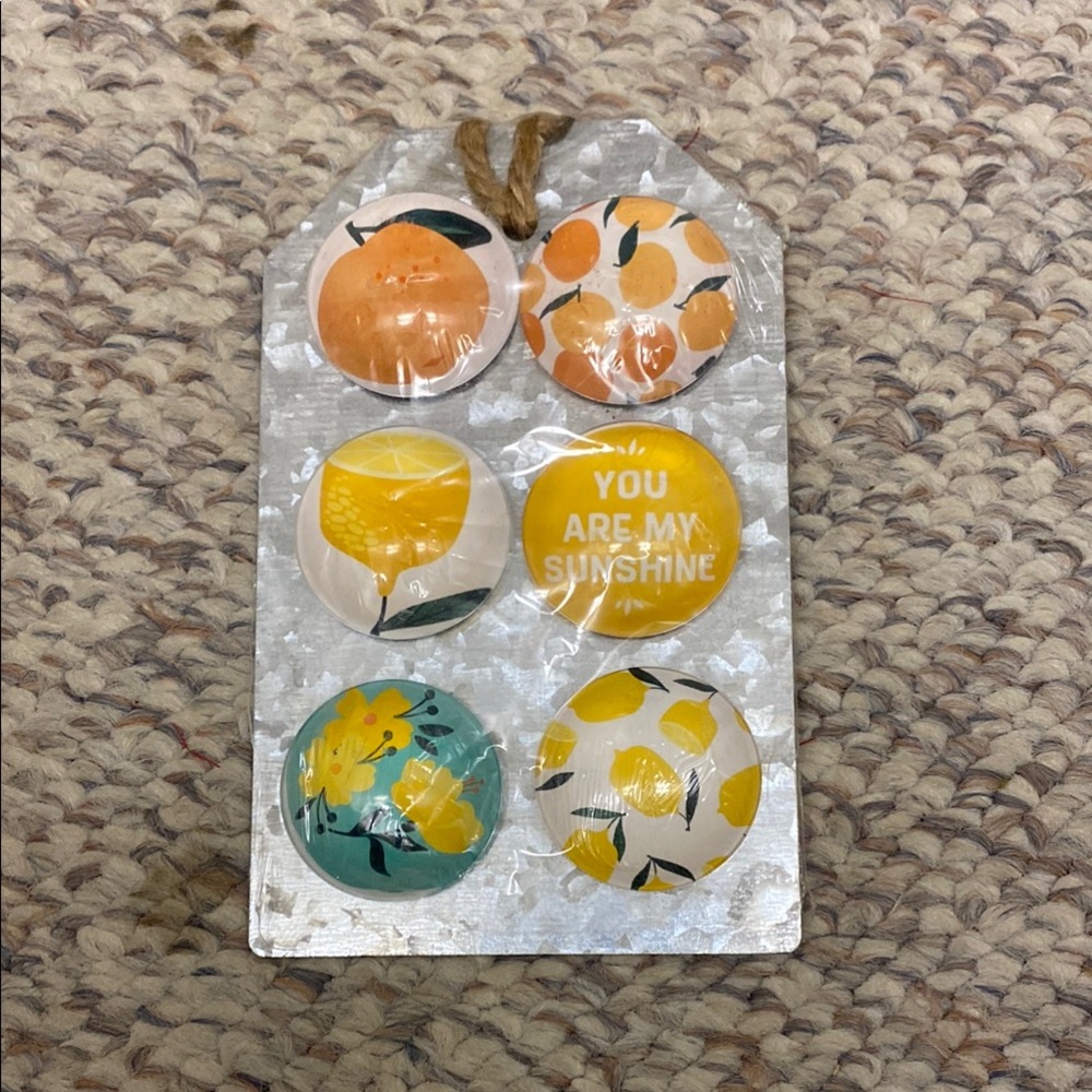 Fruit-Themed Decorative Magnets